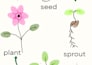 design preschool and homeschool pintables